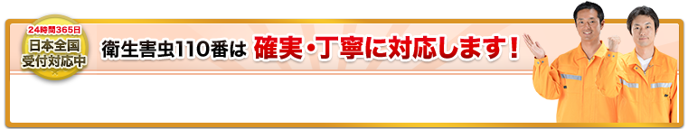 衛生害虫110番は確実・丁寧に対応します！