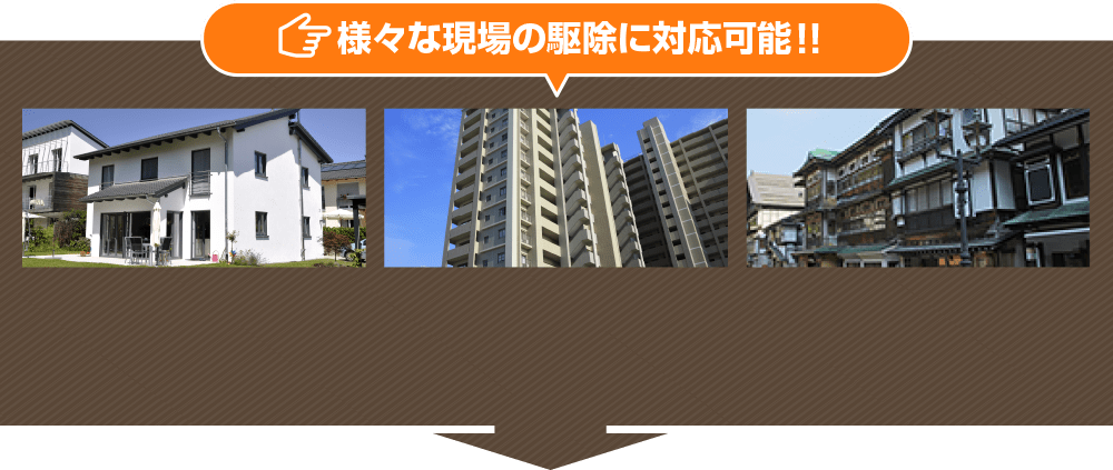 様々な現場の駆除に対応可能!!