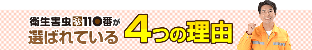 衛生害虫110番が選ばれる4つの理由