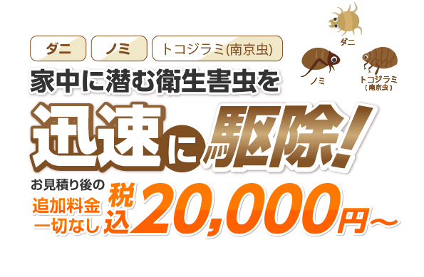 ダニ・ノミ・トコジラミ・南京虫 家中に潜む衛生害虫を迅速に駆除! お見積り後の追加料金一切なし 明朗会計税込16,500円～