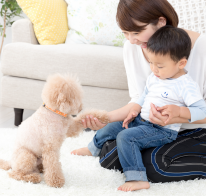 子供やペットにも 安心の最新駆除 イメージ