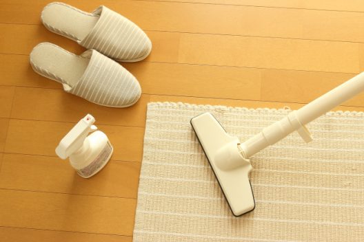 ダニは掃除機で吸い取れないって本当?