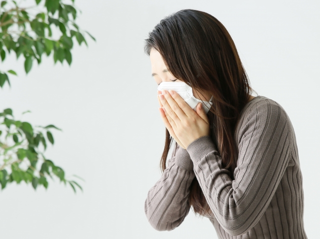ダニ退治に効果的な駆除・対策!ダニの特性を知って撃退しましょう