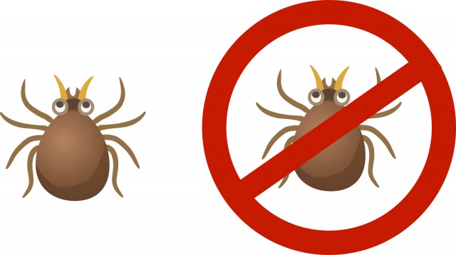 ツメダニに刺されたらどうなるの？発生場所や駆除方法をまとめて紹介
